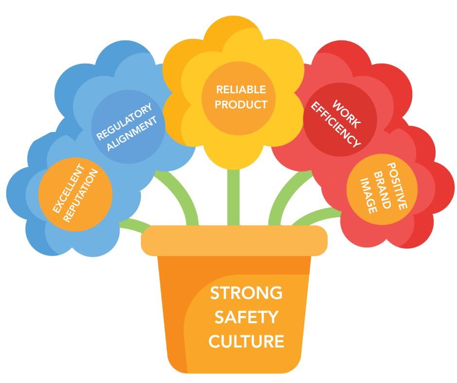 Functional Safety Culture